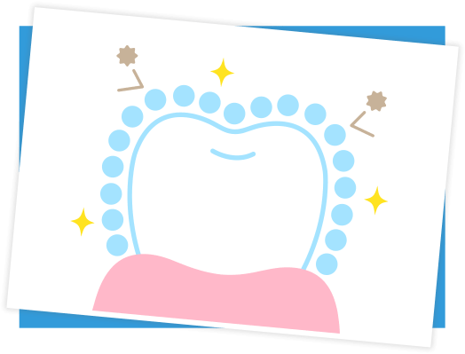 フッ素を積極的に取り入れる