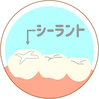 プロの目でしっかりチェック!